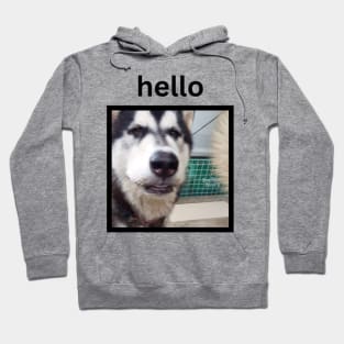 Funny Black Husky Face Hello Caption Hoodie